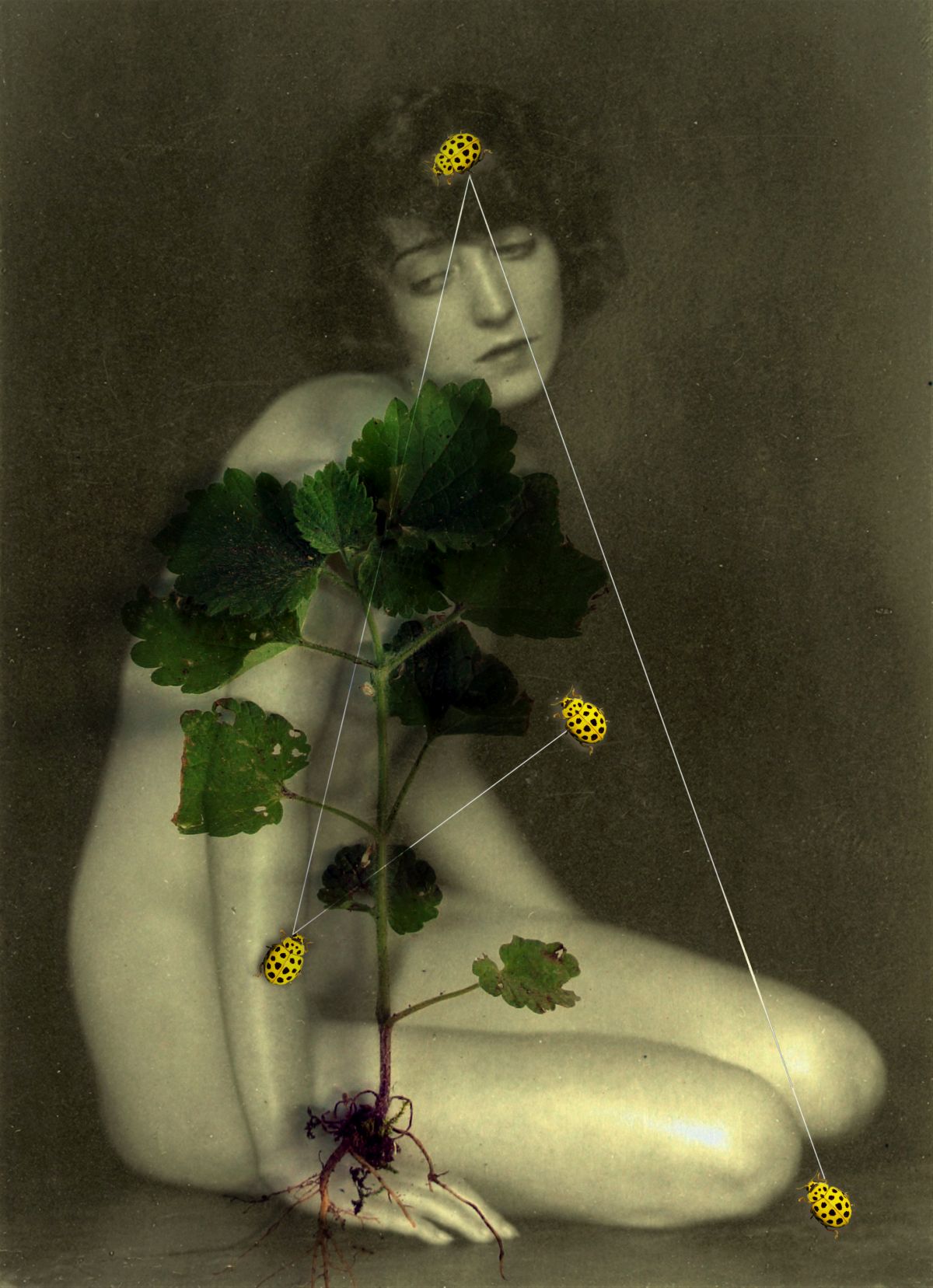 Fehérvári alkotók művei a Brüsszeli Magyar Kulturális Központban